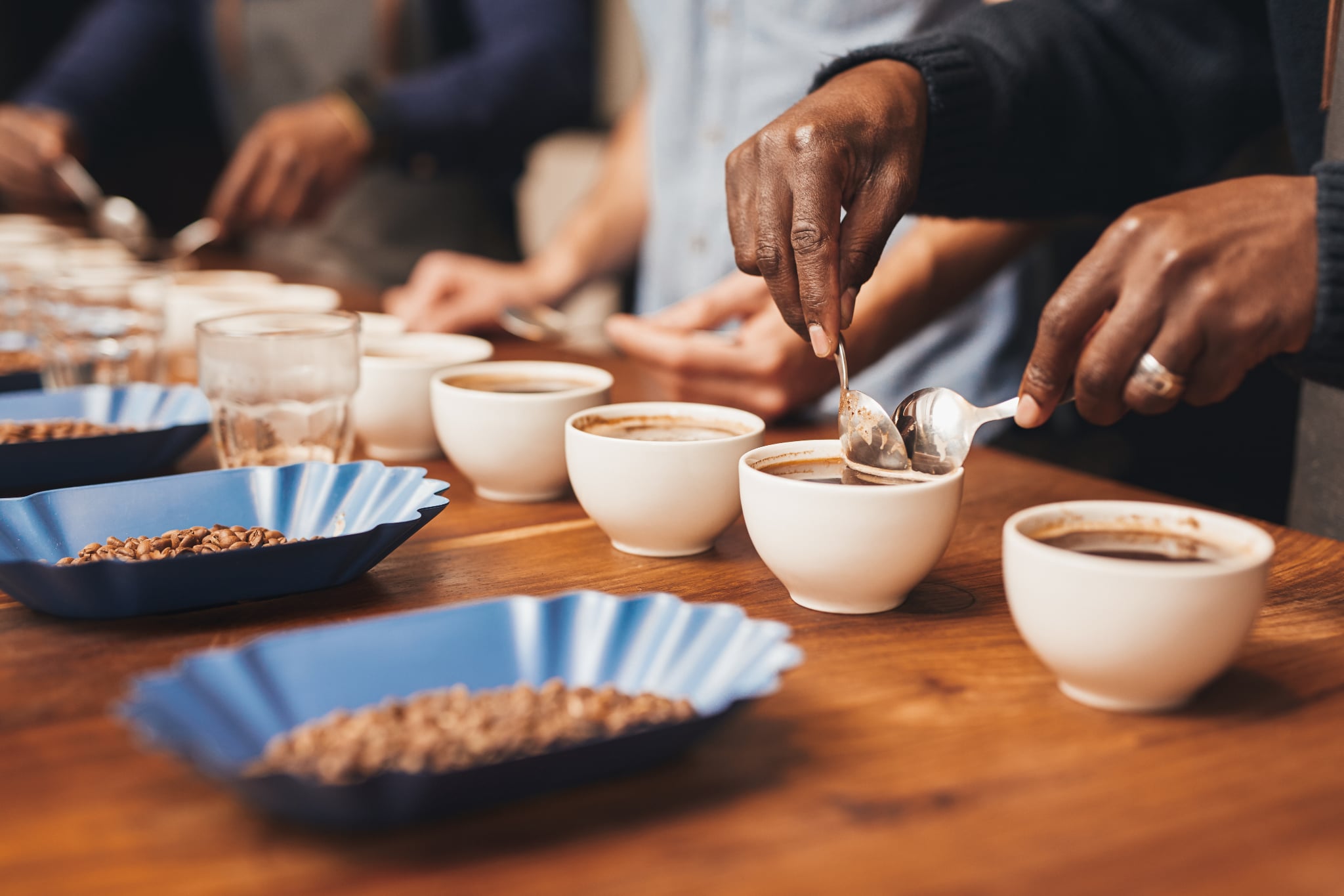 Professional coffee cupping session